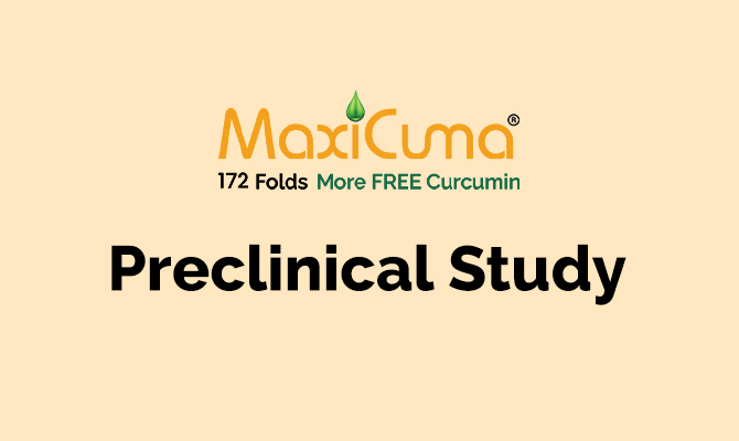 Anti-osteoarthritic Effect of High Bioavailable Curcumin Formulation by Balancing Cartilage Synthesis and Cartilage Degradation in MIA-induced Osteoarthritis Rats